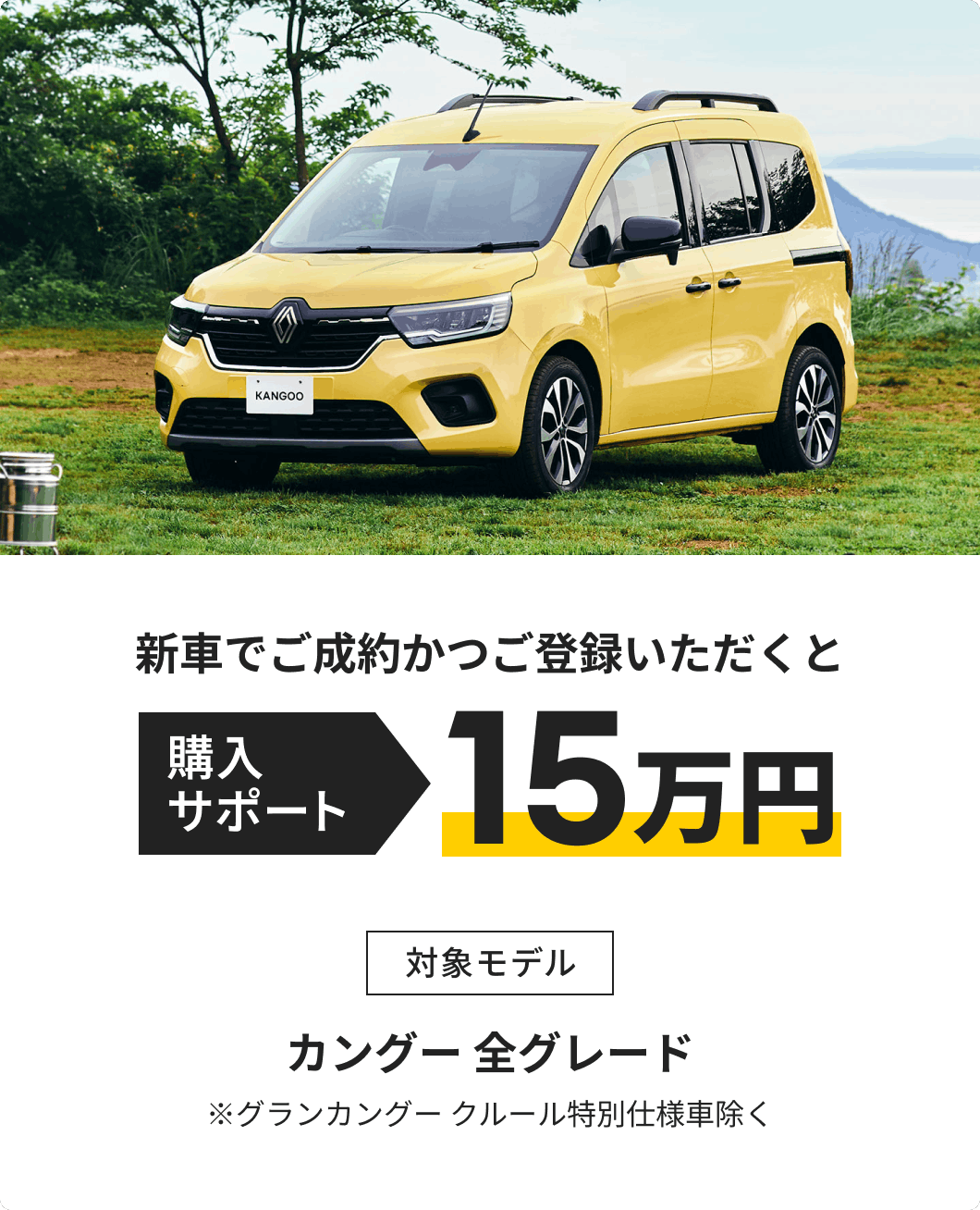 購入サポート15万円